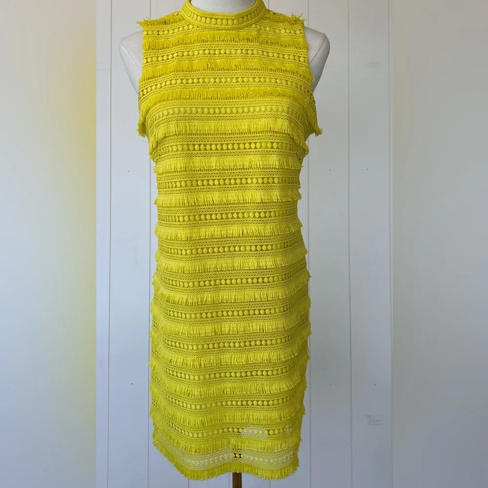 J.Crew Women’s Shift Dress‎ Fringe & Lace Lined Size 4P